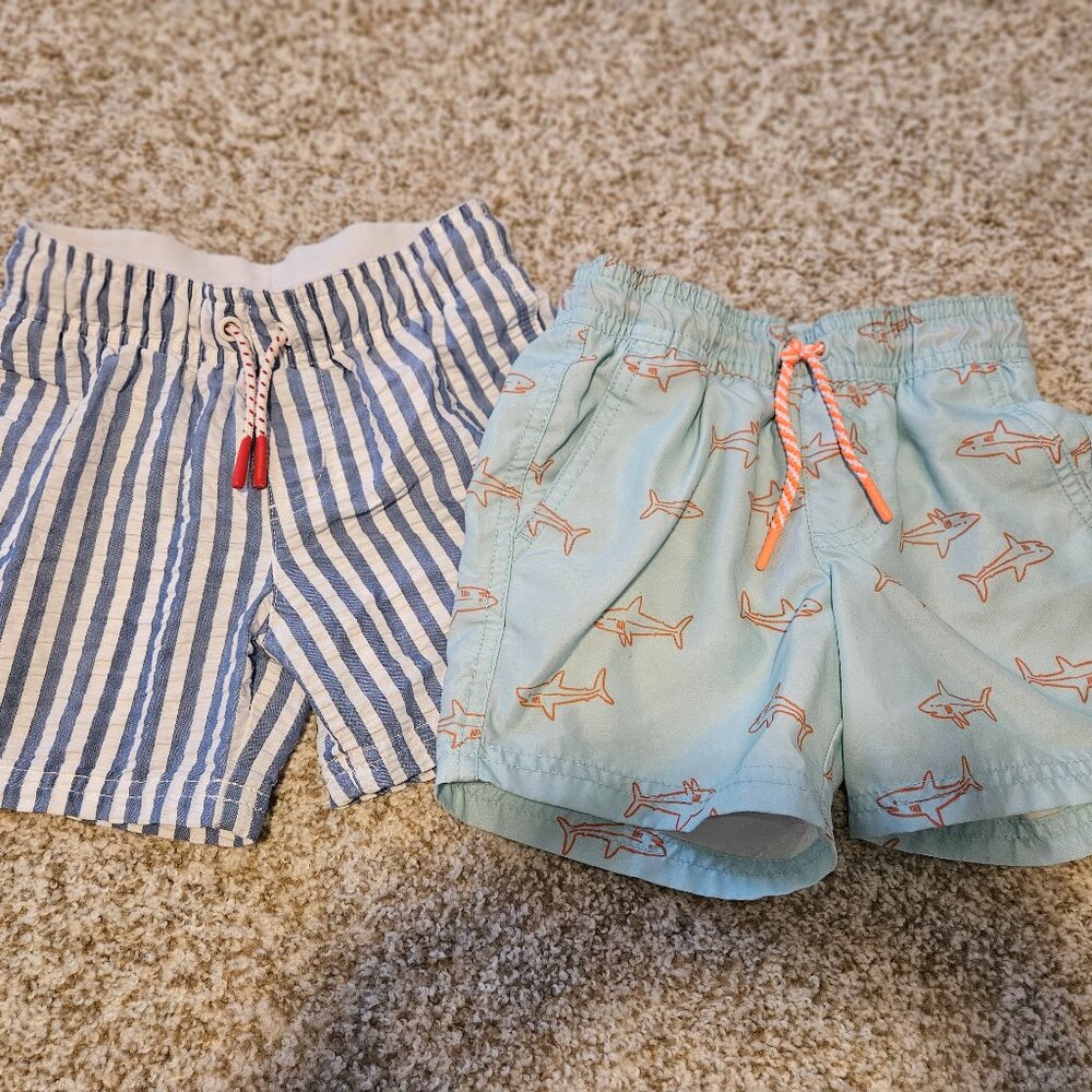 Set of 2 cat& jack swim trunks